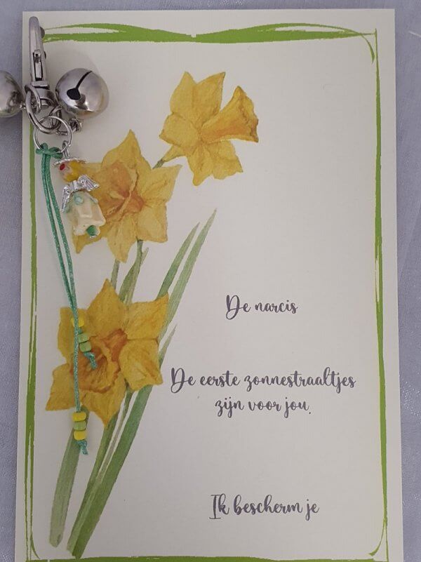Bloemenkind Narcis beschermengel - Afbeelding 3