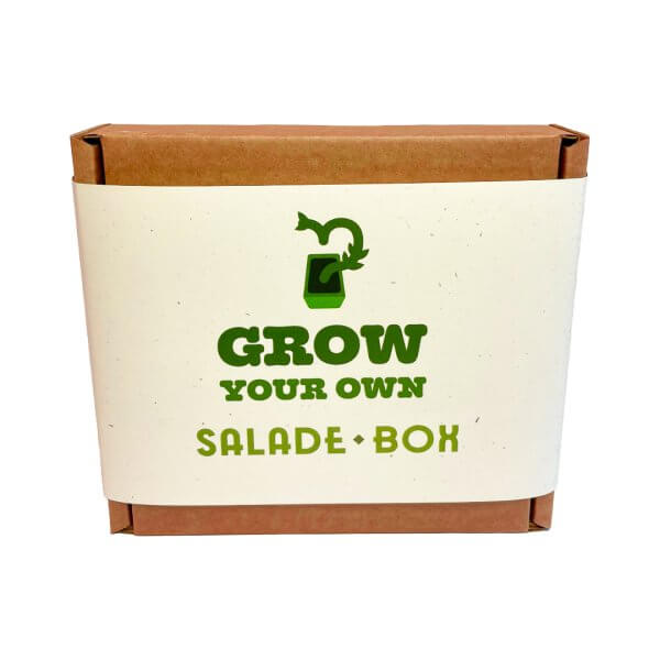 Grow Your Own Salade Box - Afbeelding 2