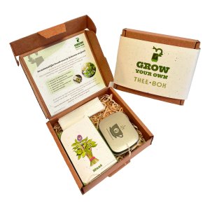 Grow Your Own Thee Box