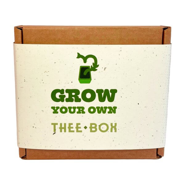 Grow Your Own Thee Box - Afbeelding 2